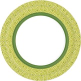 Papírové talíře Rice Green 10 ks, bio Ø 22 cm