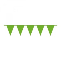 Vlajka zelená 10 m